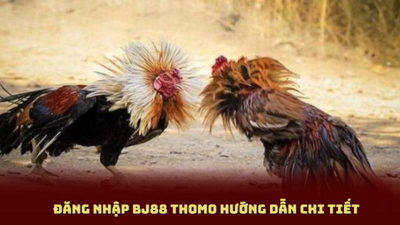 Đăng Nhập BJ88 Thomo Hướng Dẫn Chi Tiết