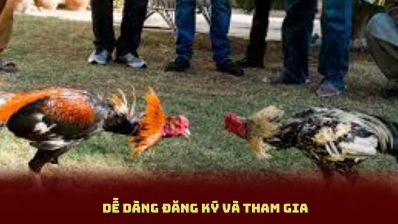 Dễ Dàng Đăng Ký Và Tham Gia