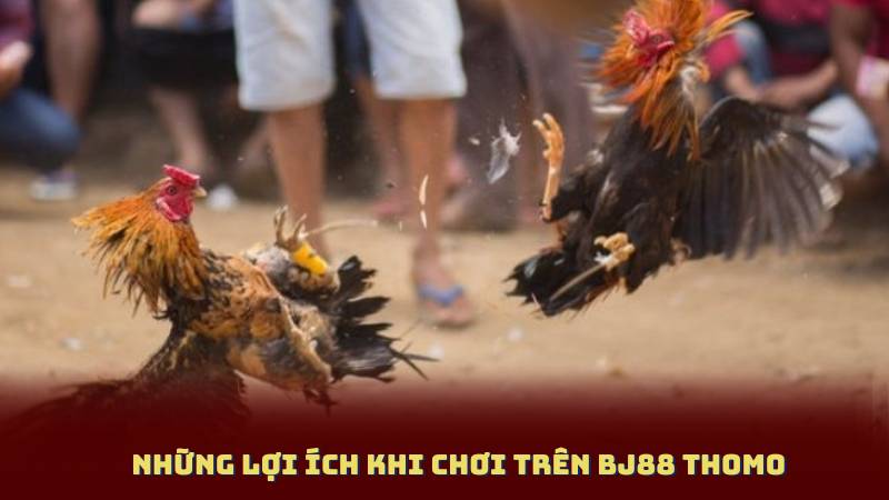 Những Lợi Ích Khi Chơi Trên BJ88 Thomo